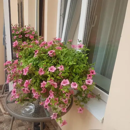 Apartment Golden Rose ! S