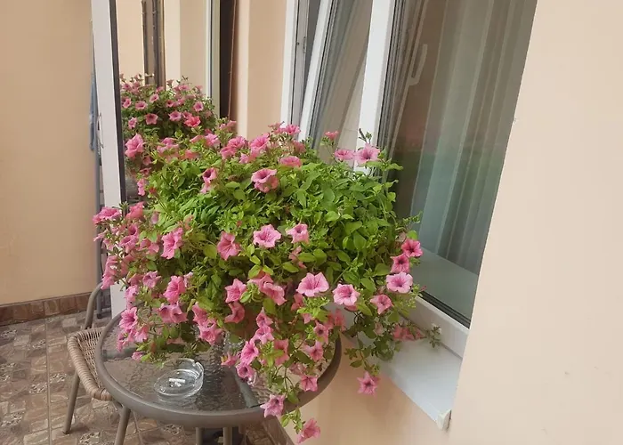 Apartamento Golden Rose ! S